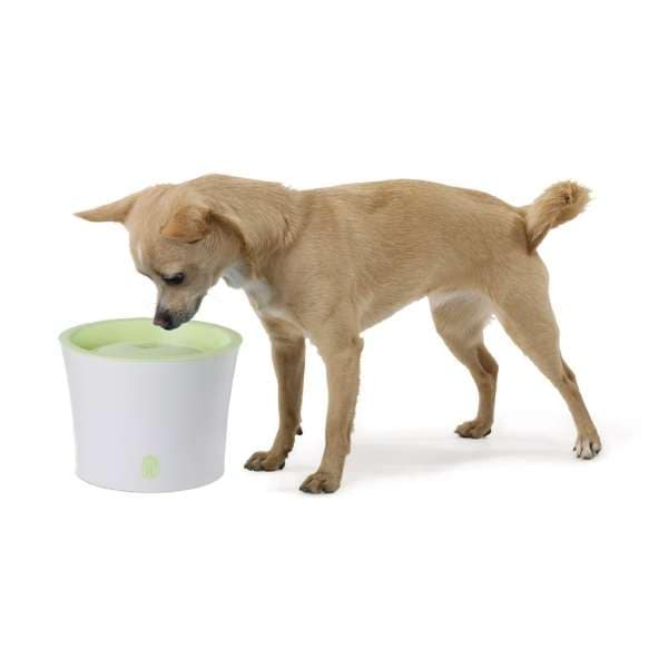 CATIT Fresh+Clear Trinkbrunnen 3L - Lindgrün – Bild 12