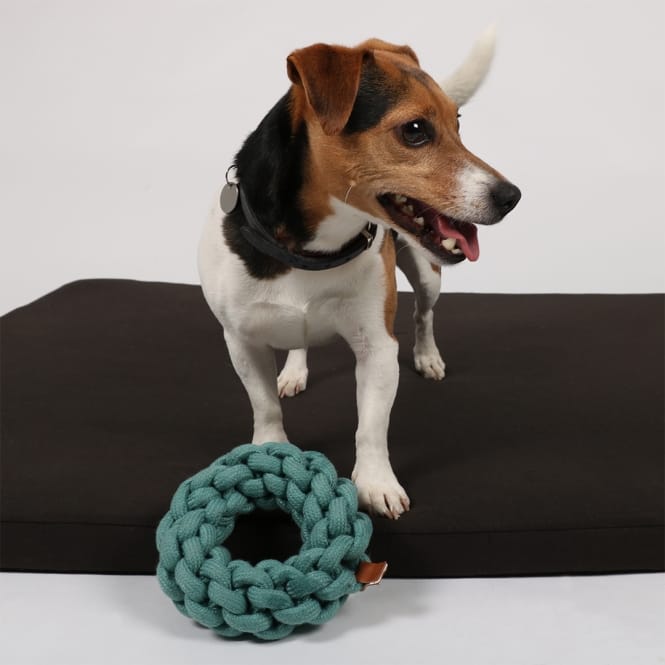 D&D Baumwollring Ben - blau - 13 x 13 x 4,5cm – Bild 3