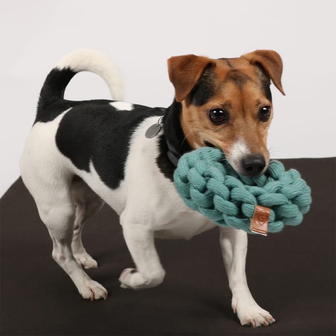 D&D Baumwollring Ben - blau - 13 x 13 x 4,5cm – Bild 5