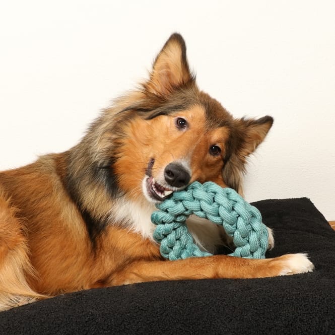 D&D Baumwollring Ben - blau - 19 x 19 x 5cm – Bild 5