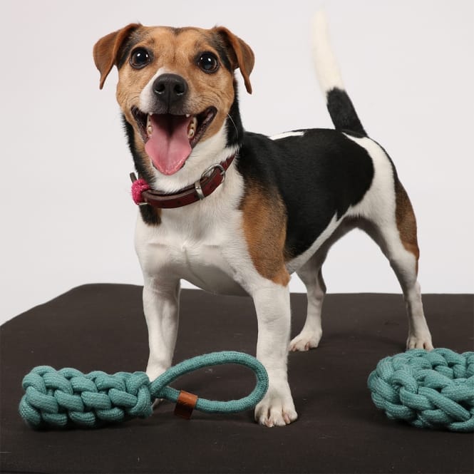 D&D Baumwollkegel Kurt - blau - 36 x 5cm – Bild 5